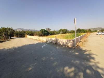 Gürsu Kurtuluş Mah Osb Satılık Arazi Bahçe 9