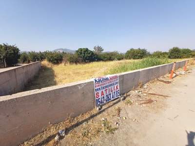 Gürsu Kurtuluş Mah Osb Satılık Arazi Bahçe 11