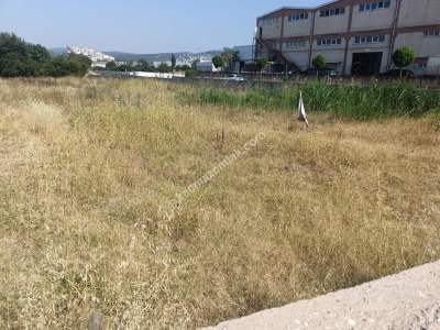 Gürsu Kurtuluş Mah Osb Satılık Arazi Bahçe 16