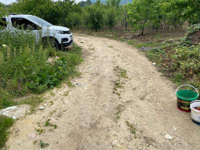 Kestel Babasultan Köy Satılık Meyve Bahçesi Arazi 4