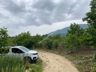 Kestel Babasultan Köy Satılık Meyve Bahçesi Arazi 3