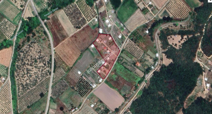 Kestel Gölcük Köy Mah Satılık Hobi Bahçesi Arazi 1