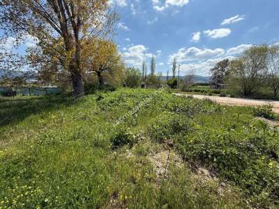 Nilüfer Yaylacık Mh Satılık Sanayi İmar Sınırında Arazi 13