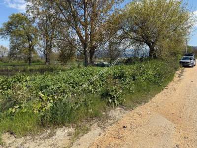 Nilüfer Yaylacık Mh Satılık Sanayi İmar Sınırında Arazi 7
