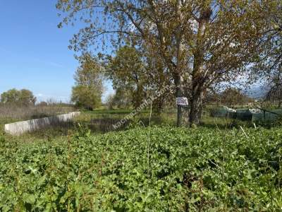 Nilüfer Yaylacık Mh Satılık Sanayi İmar Sınırında Arazi 6