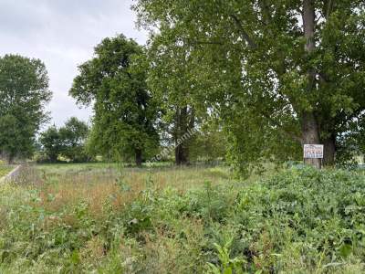 Nilüfer Yaylacık Mh Satılık Sanayi İmar Sınırında Arazi 5