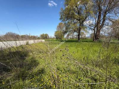 Nilüfer Yaylacık Mh Satılık Sanayi İmar Sınırında Arazi 10