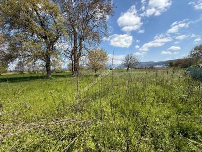 Nilüfer Yaylacık Mh Satılık Sanayi İmar Sınırında Arazi 15