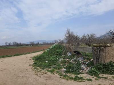 Osmangazi Demirtaş İsmetiye Mah Satılık Meyve Bahçesi 8