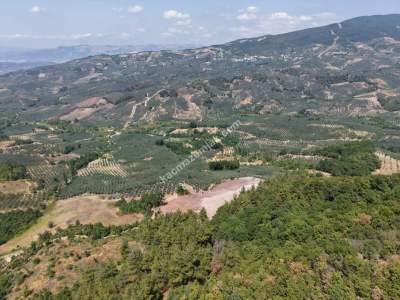 Homest Yeşil Vadi Projesinde Satılık Manzaralı Hobi Bah 8