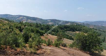 Homest Yeşil Vadi Projesinde Satılık Manzaralı Hobi Bah 2