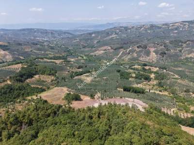 Homest Yeşil Vadi Projesinde Satılık Manzaralı Hobi Bah 6