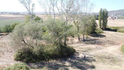 Biga Örtülüce Köyüne 550 Metre Mesafede Satılık Bahçe 15