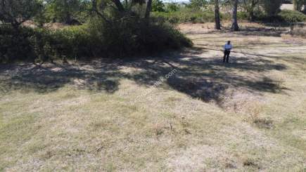 Biga Örtülüce Köyüne 550 Metre Mesafede Satılık Bahçe 17