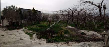 Denizli Sarayköy Merkezde İmarın Yanında Hobi Bahçesi 4