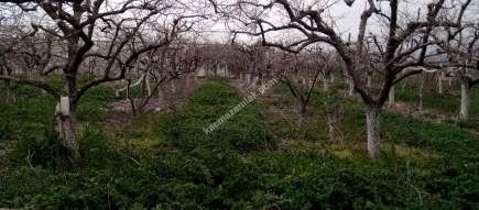 Denizli Sarayköy Merkezde İmarın Yanında Hobi Bahçesi 8