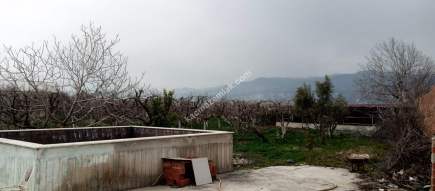 Denizli Sarayköy Merkezde İmarın Yanında Hobi Bahçesi 11