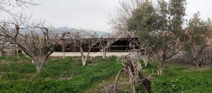 Denizli Sarayköy Merkezde İmarın Yanında Hobi Bahçesi 9