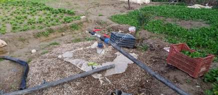 Denizli Sarayköy Duacılıda İmar Yanı Sebze Bahçesi 6