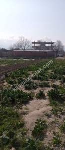 Denizli Sarayköy Duacılıda İmar Yanı Sebze Bahçesi