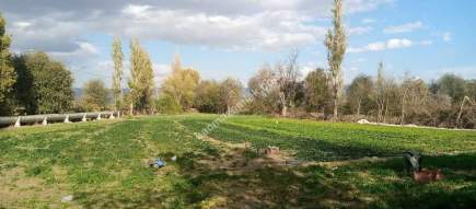 Denizli Sarayköy Duacılıda İmar Yanı Sebze Bahçesi 8