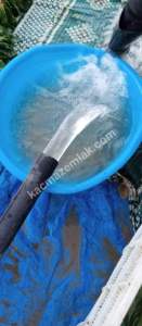 Denizli Sarayköy Duacılıda İmar Yanı Sebze Bahçesi 2