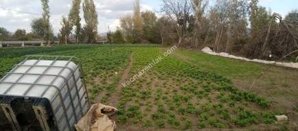 Denizli Sarayköy Duacılıda İmar Yanı Sebze Bahçesi 5
