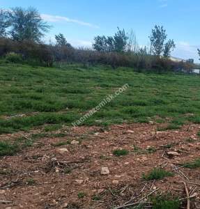 Oğuzeli Gürsu Da 1.020 M2 Çok Güzel Bahçe 6