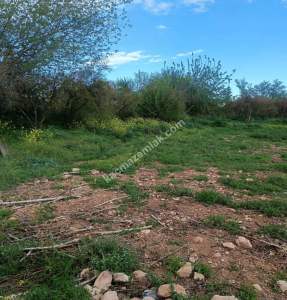 Oğuzeli Gürsu Da 1.020 M2 Çok Güzel Bahçe 2