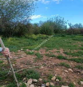 Oğuzeli Gürsu Da 1.020 M2 Çok Güzel Bahçe 8