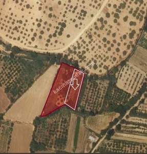 Oğuzeli Gürsu Da 1.020 M2 Çok Güzel Bahçe 11