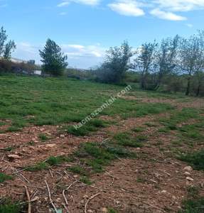 Oğuzeli Gürsu Da 1.020 M2 Çok Güzel Bahçe 4