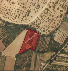 Oğuzeli Gürsu Da 1.020 M2 Çok Güzel Bahçe 10