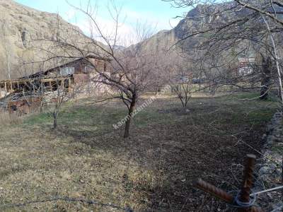 Gümüşhane Merkez Mescitli'de Anayola Çok Yakın Mesafed 5