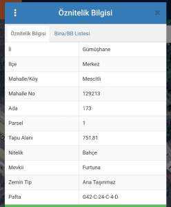 Gümüşhane Merkez Mescitli'de Anayola Çok Yakın Mesafed 1