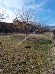 Gümüşhane Merkez Mescitli'de Anayola Çok Yakın Mesafed 7