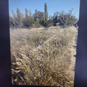 Isparta Merkez Büyükgökçeli Köyü Satılık Arsa 2