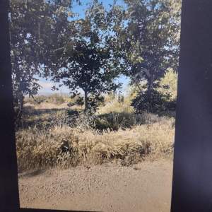 Isparta Merkez Büyükgökçeli Köyü Satılık Arsa 1