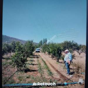 Isparta Merkez Büyükgökçeli Köyü Satılık Tarla 2