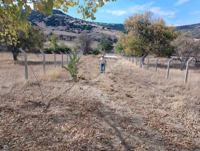 Isparta Bozanönü Köyü Anayoluna Sıfır Satılık Bahçe 5