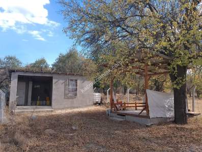 Isparta Bozanönü Köyü Anayoluna Sıfır Satılık Bahçe 6