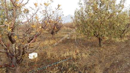 Karaman'da Satılık Bahçe 6