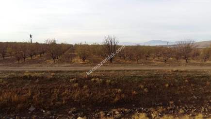 Karaman'da Satılık Bahçe 8