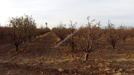 Karaman'da Satılık Bahçe 1