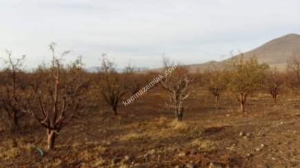 Karaman'da Satılık Bahçe 7