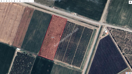 Karaman'da Satılık Bahçe 2