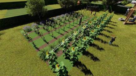 Kastamonu Merkez Satılık Hobi Bahcesi 17