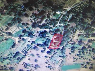 Develi Güneyaşagı Mah Satlık Bahçe 8