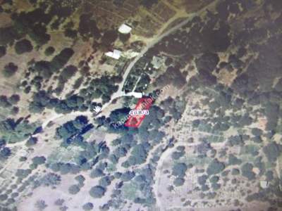 Kayseri Develi Güneyaşagı Mah Satlık Bahçe 6