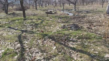 Kayseri Develi Güneyaşagı Mah Satlık Bahçe 2